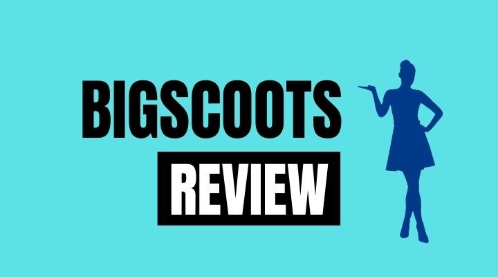 bigscoots review