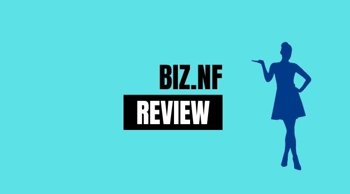 biz.nf review