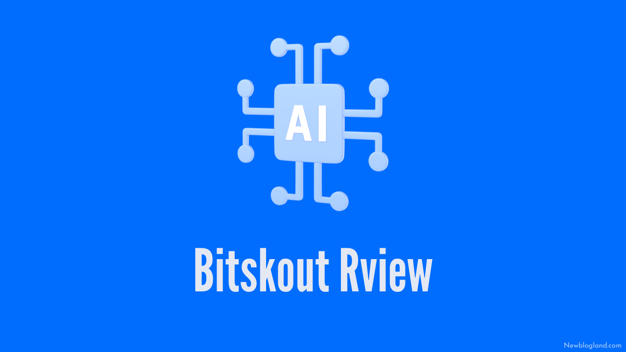 Bitskout review