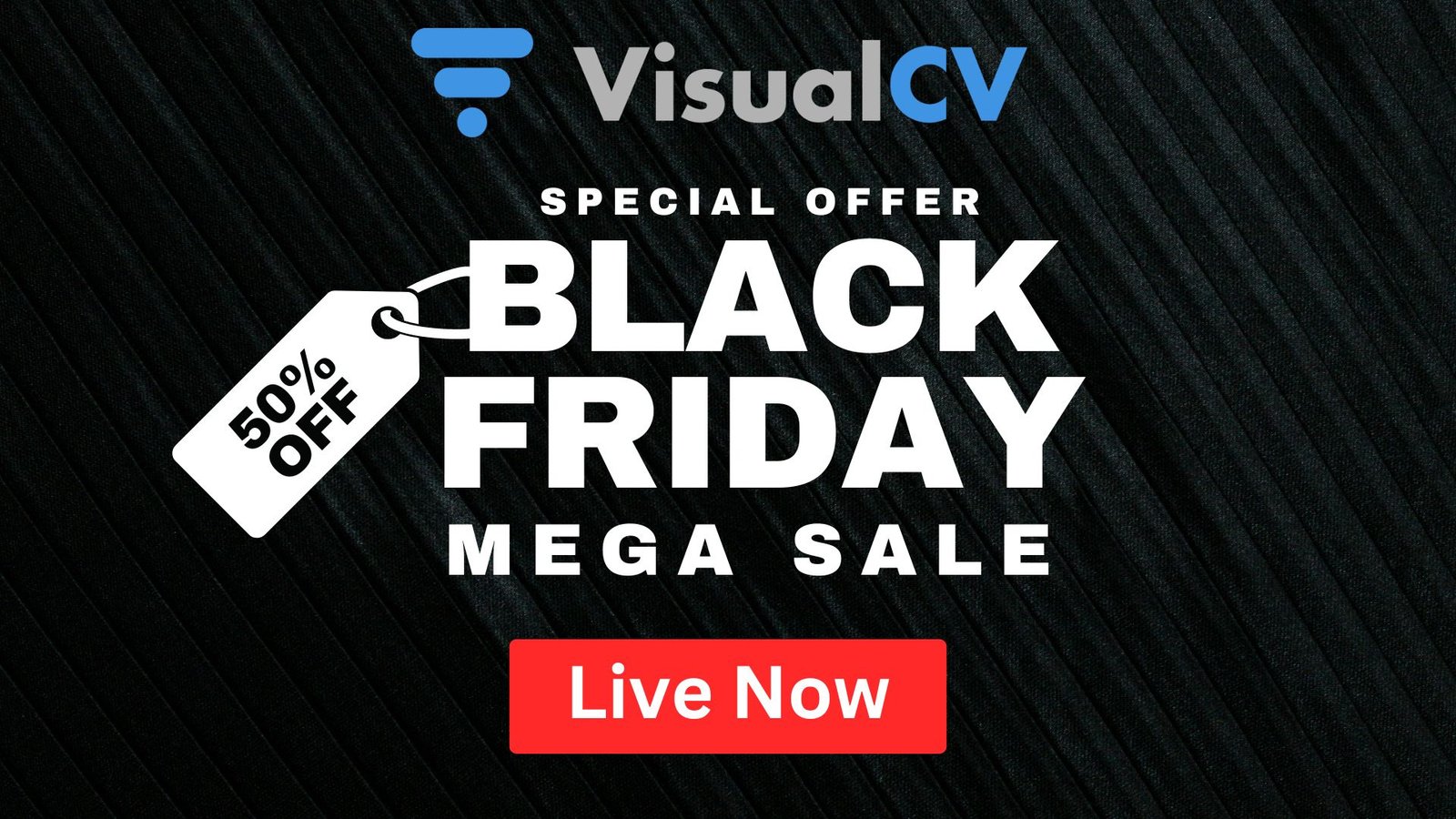 (50% Discount) VisualCV Black Friday Sale 2024